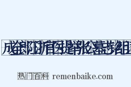 成全郎江浙官医提举张公墓志铭组词是什么意思的图片